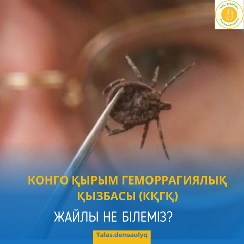 КОНГО ҚЫРЫМ ГЕМОРРАГИЯЛЫҚ ҚЫЗБАСЫ (КҚГҚ)